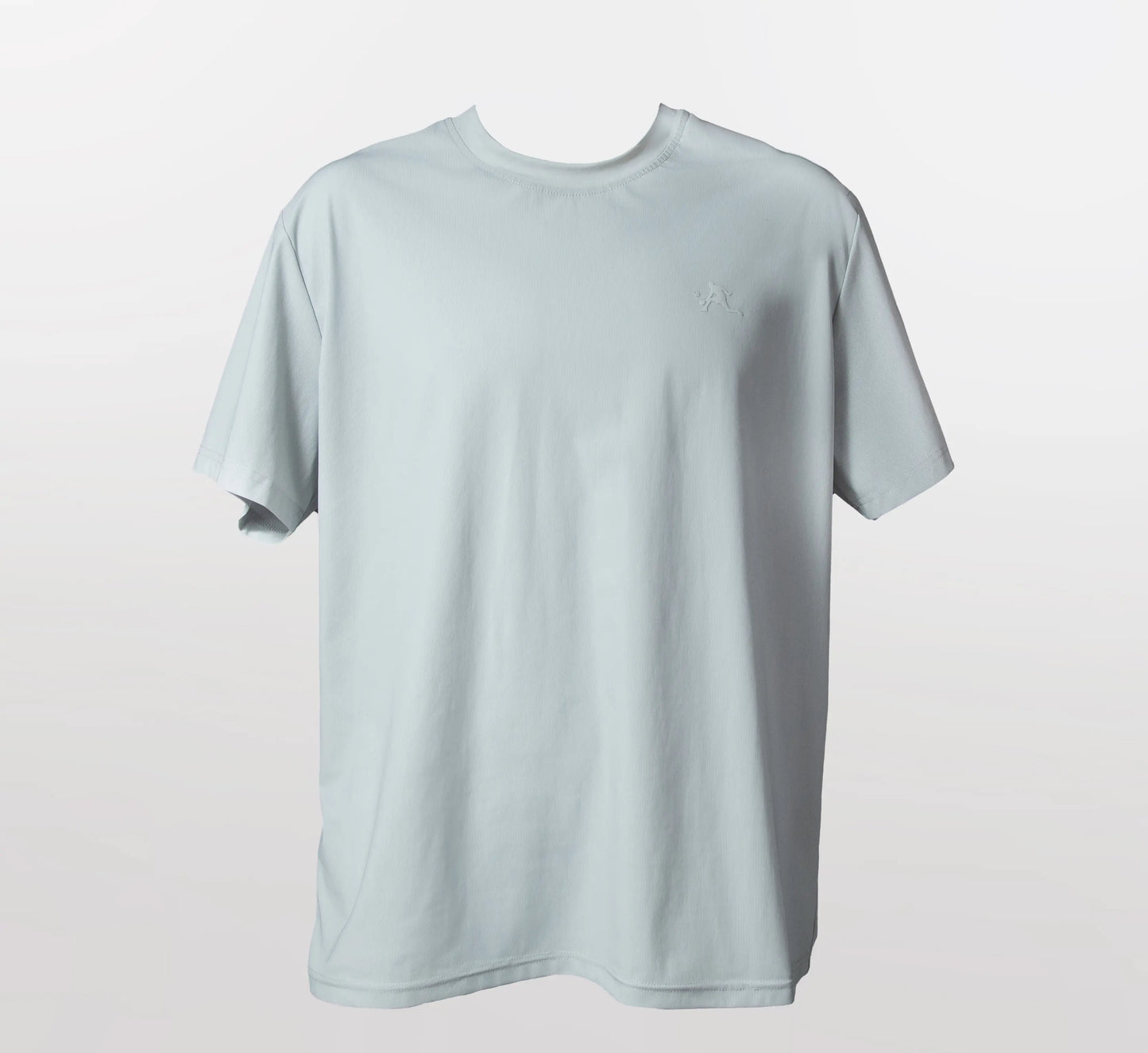 Light Grey t-shirt on a white background Gris